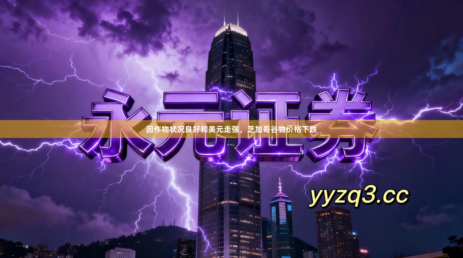 因作物状况良好和美元走强，芝加哥谷物价格下跌